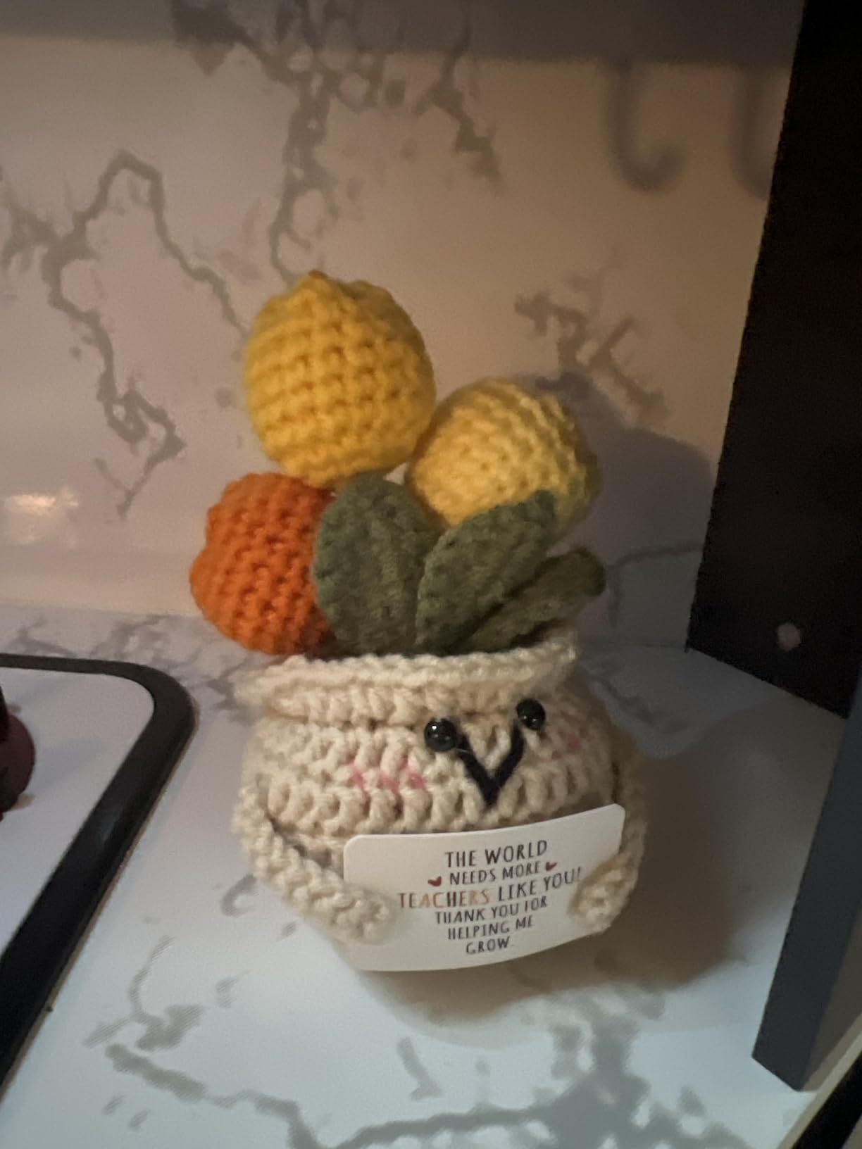 OASSIE Thank You Gifts for Women - Positive Emotional Support Crochet Tulip | Employee Appreciation Gifts for Coworkers Boss Nurse Friend, Retirement Gift for Woman, Back to School Teacher Gift customer photo 2