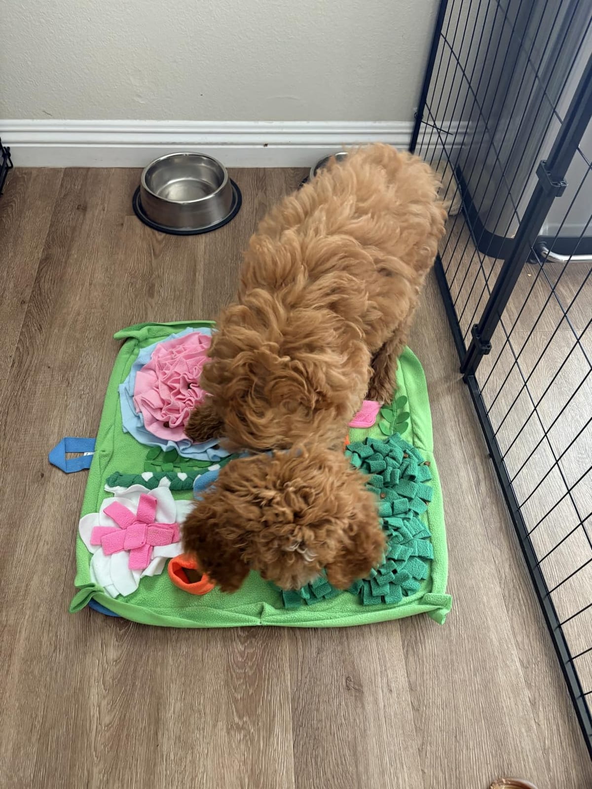 Snuffle Mat for Dogs, Slow Feeding Game Interactive Puzzle Dog Food Mat, Encourage Natural Foraging Skill - 19.7''x19.7'' Easy to Clean, Durable customer photo 1