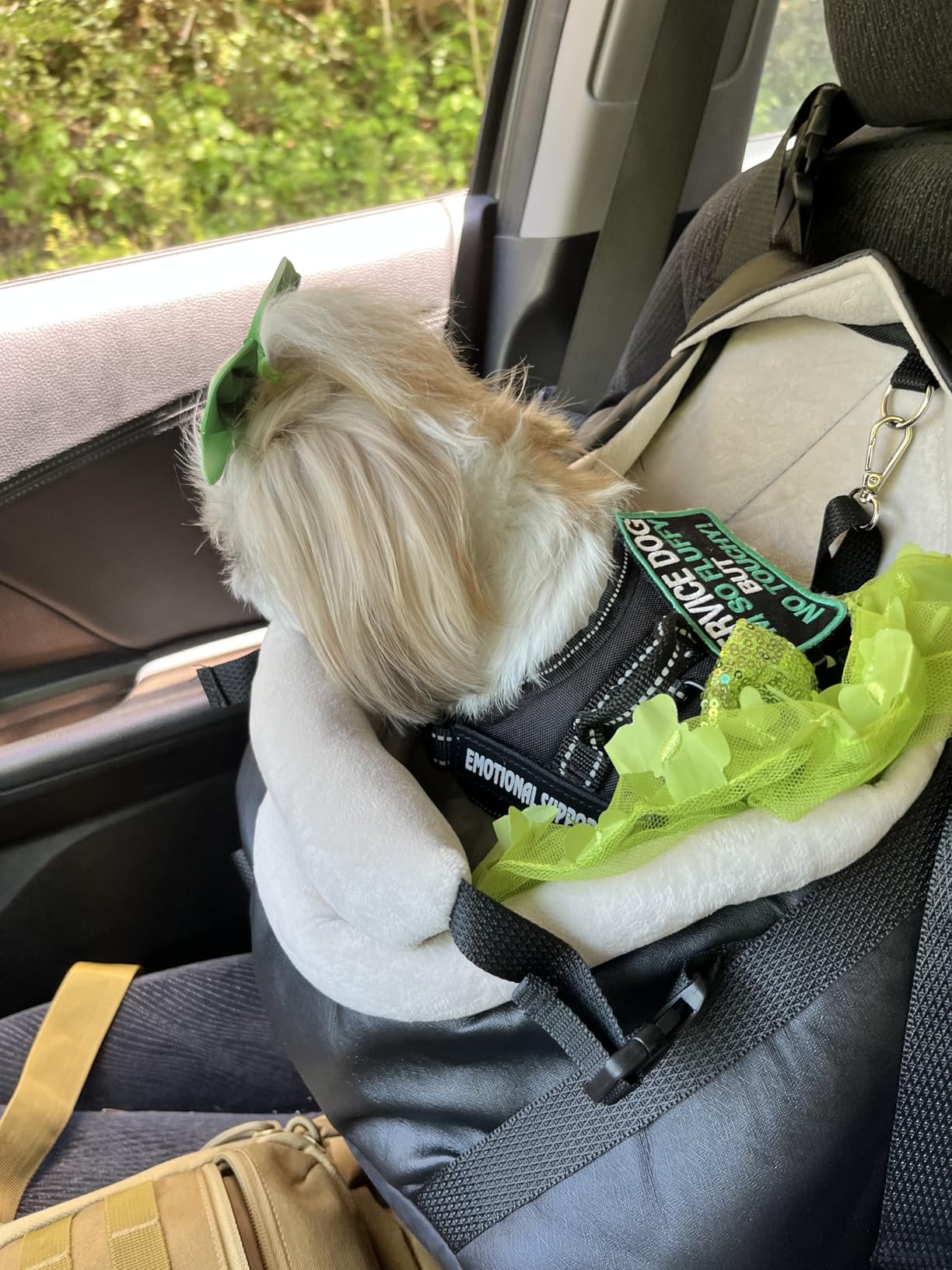 WOYYHO Luxurious Dog Booster Car Seat for Tiny Dogs up to 7 lbs | Vegan Leather Pet Car Seat, with Safety Belt, Soft Flannel Liner, for Teacup Yorkie, Chihuahua, Maltese, Small Pets, Gray customer photo 1