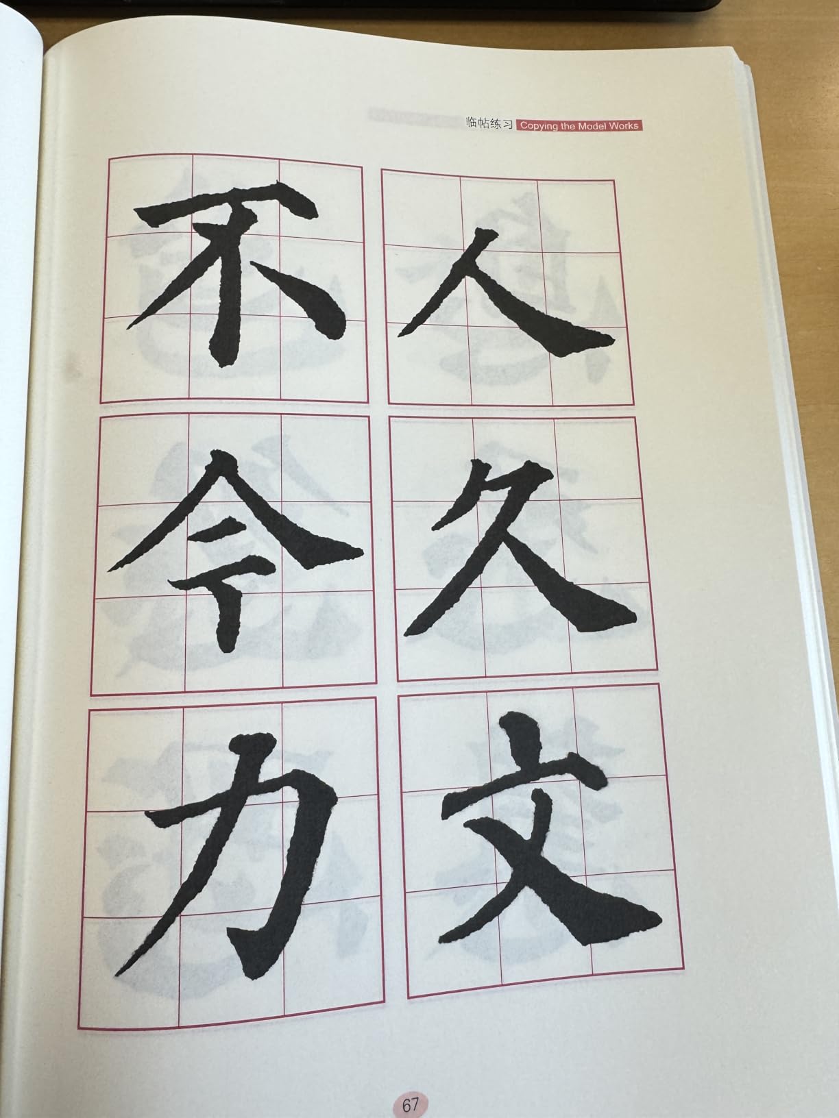 Chinese Calligraphy Set Japanese Calligraphy Kit for Beginners-Red customer photo 2
