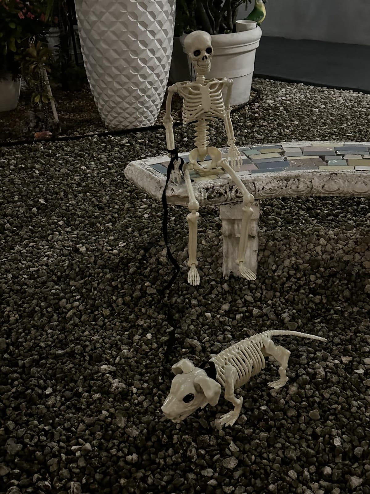 Lighted Human & Dog Skeleton Halloween Decorations Outdoor/Indoor - 36 Inch Realistic Full Body Movable Posable Skeleton Spooky Halloween Decor for Garden Yard Porch Party Haunted Graveyard customer photo 2