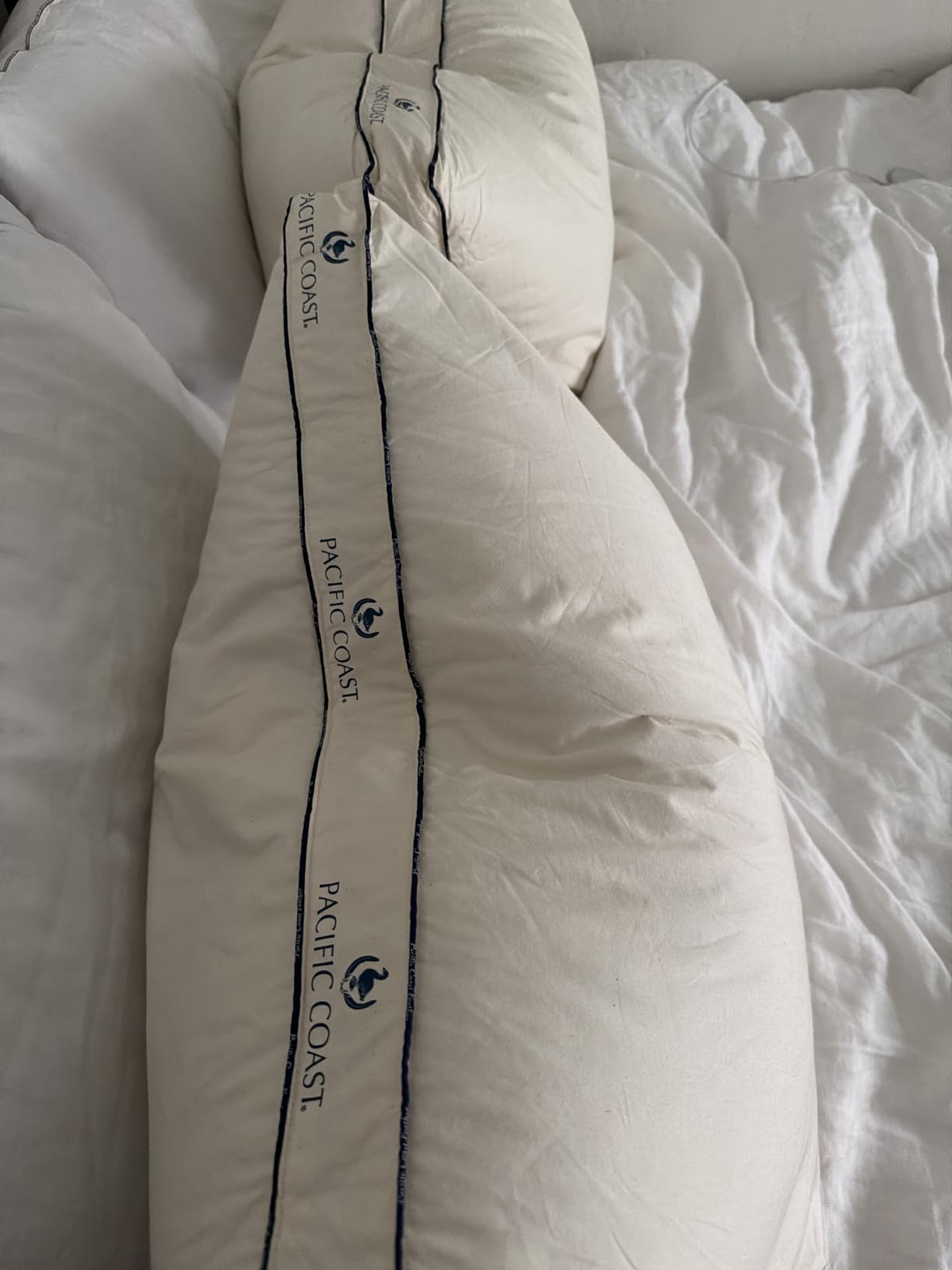 Pacific Coast Goose Feather and Down Pillows, with 100% Organic Cotton Fabric, Standard Size Set of 2, Gusseted Design for Sleeping, Hotel Collection, Firm Pillows for Side and Back Sleepers customer photo 1