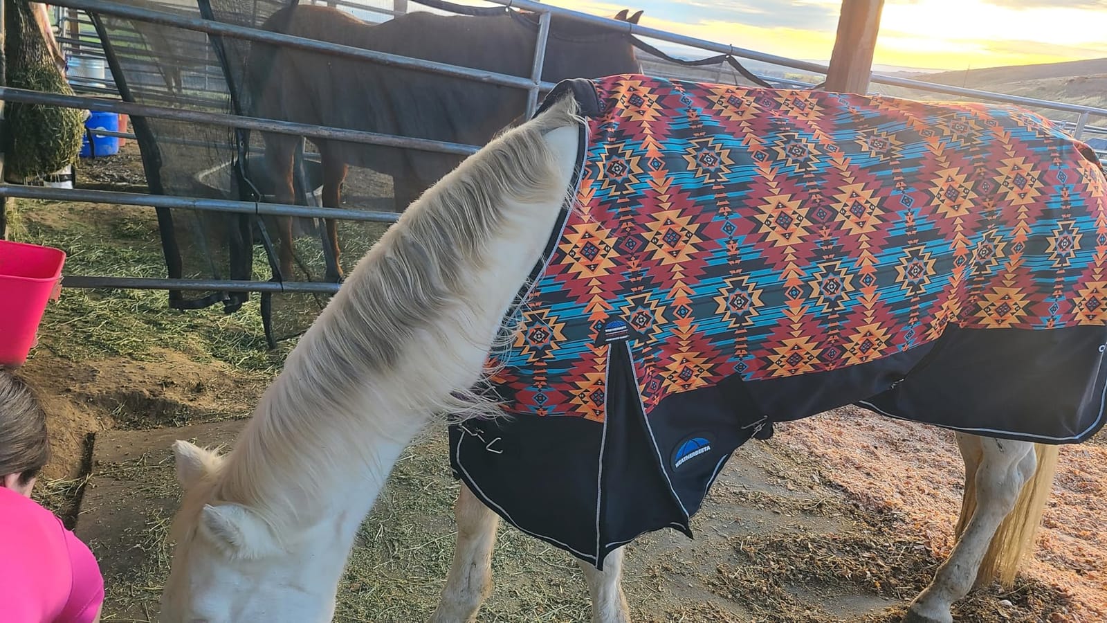 WeatherBeeta ComFiTec Essential Turnout 220g, Rodeo Print, 75