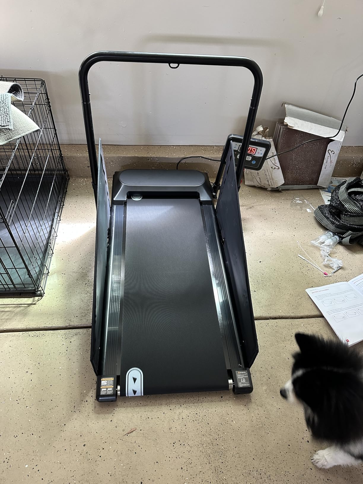 Petbobi Dog Treadmill for Small & Medium Dogs Up to 265 lbs Indoor Exercise | Quiet motor, 360 rotatable display, remote control & wheels, foldable design, fitness & weight management, easy to assemble customer photo 2