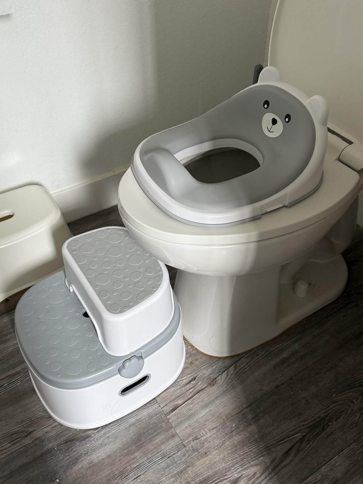 3-in-1 Toddler Potty Training Toilet for Boys & Girls - Convertible Potty Chair with Step Stool for Toddlers 1-3, Anti-Slip Design Toddler Toilet Seat - Removable & Easy to Clean customer photo 1