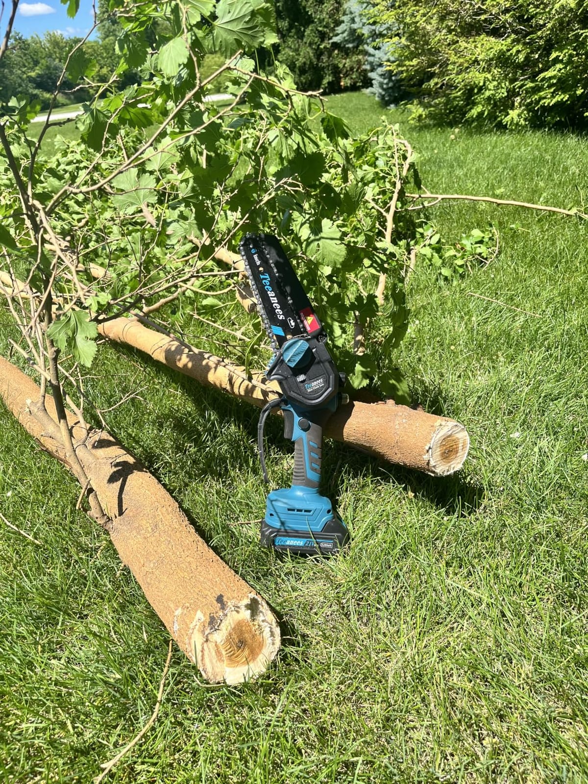 Mini Chainsaw Cordless, 6-Inch Small Electric Chainsaw with 21V Battery & 3 Chains, Hand Held Chain Saw Battery Powered for Wood Cutting & Tree Trimming, Ideal Gardening Gift for Men Dad. customer photo 1