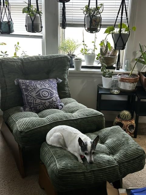 MAXYOYO Accent Chair with Ottoman, Lounge Chair with Adjustable Backrest, Tufted Living Room Chair Upholstered Lounge Chair with Footrest Set, Modern Chair for Reading Room, Green customer photo 2