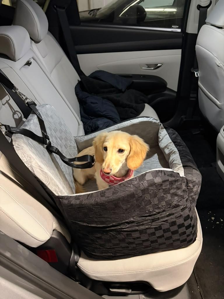 PETICON Waterproof Dog Car Seat for Small Medium Dogs, 6in Memory Foam | Pet Booster Seat for Dogs up to 26 lbs with Pockets, Detachable Washable Pet Carseat with Y-Shape Safety Belt customer photo 2