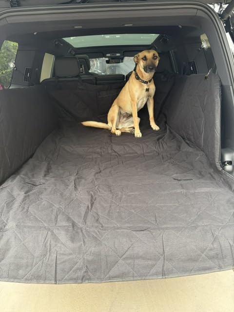 REEVAA SUV Cargo Liner for Dogs, Trunk Cover with Foam Side Walls, XL | 360° Full Coverage, Padded Sides for Dog Safety, Dual Non-Slip & Waterproof, Durable & Machine Washable, Safer Travel with Dogs customer photo 1