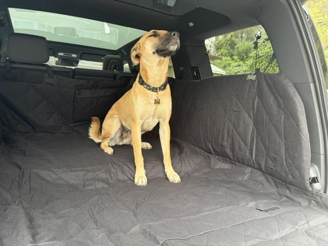 REEVAA SUV Cargo Liner for Dogs, Trunk Cover with Foam Side Walls, XL | 360° Full Coverage, Padded Sides for Dog Safety, Dual Non-Slip & Waterproof, Durable & Machine Washable, Safer Travel with Dogs customer photo 2
