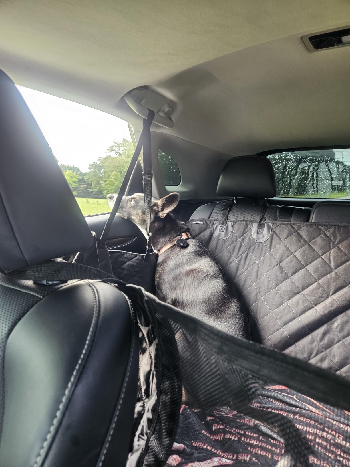 URPOWER XL Hard Bottom Dog Seat Cover for Full-Size Crew Cab Trucks customer photo 1