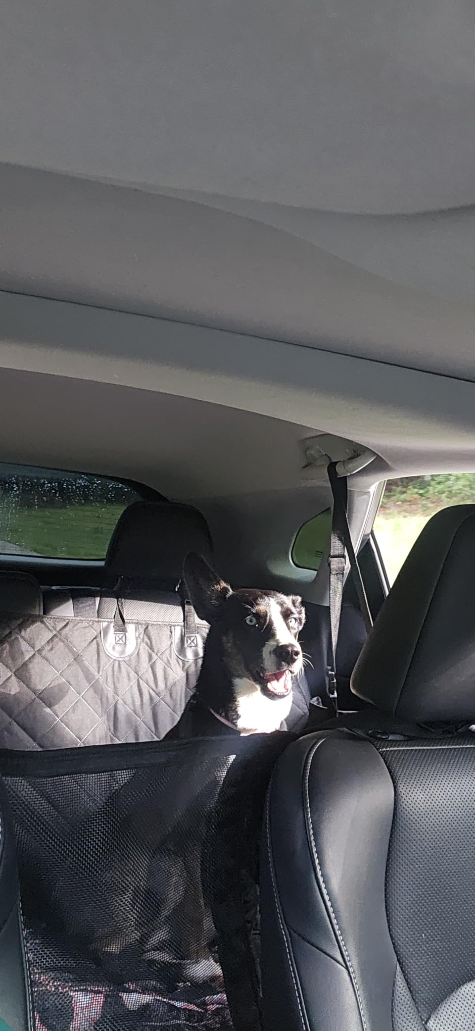 URPOWER XL Hard Bottom Dog Seat Cover for Full-Size Crew Cab Trucks customer photo 2
