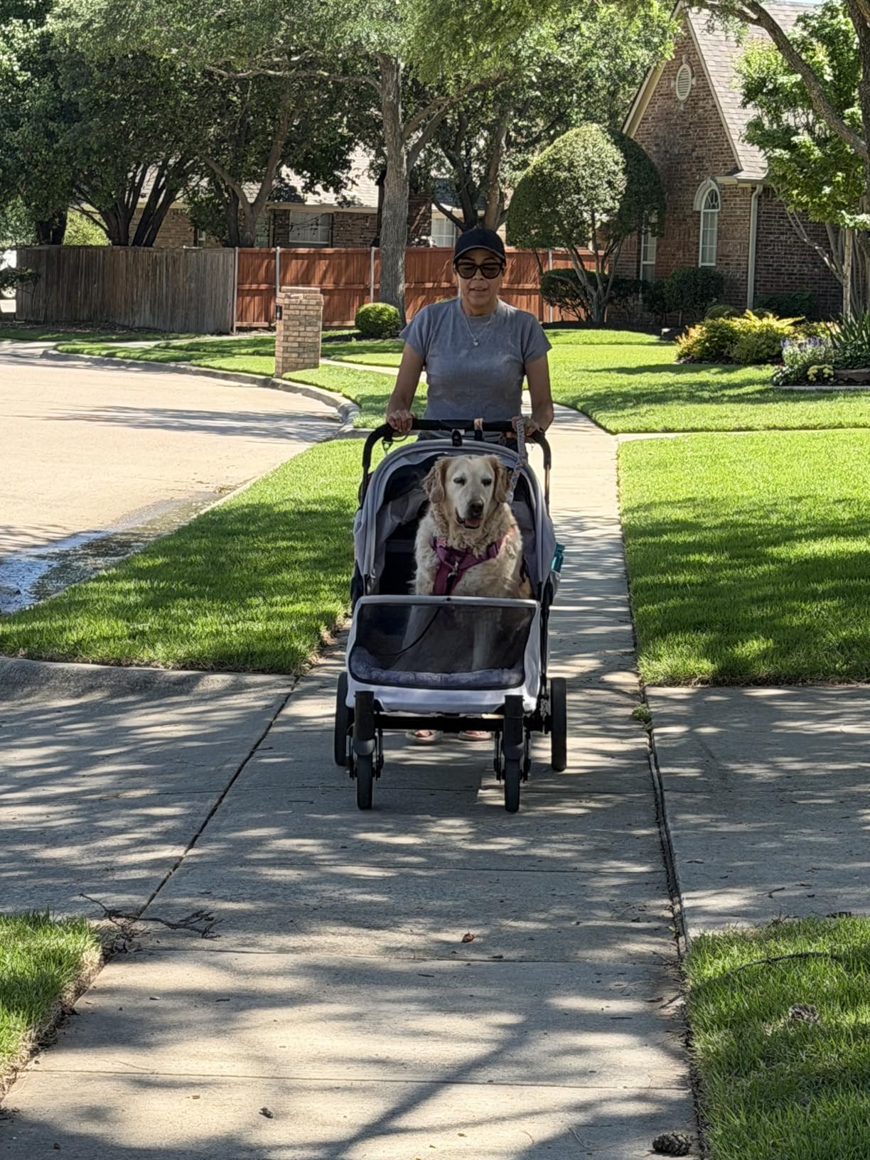 Pet Stroller with Ramp for Large Dog up to 132lbs Portable & Foldable | Large Pet Gear for Multiple Dogs, All-Terrain with Mesh Window & NO-Zip, Removable Mattress, Friendly to Elderly & Disabled Dogs customer photo 1
