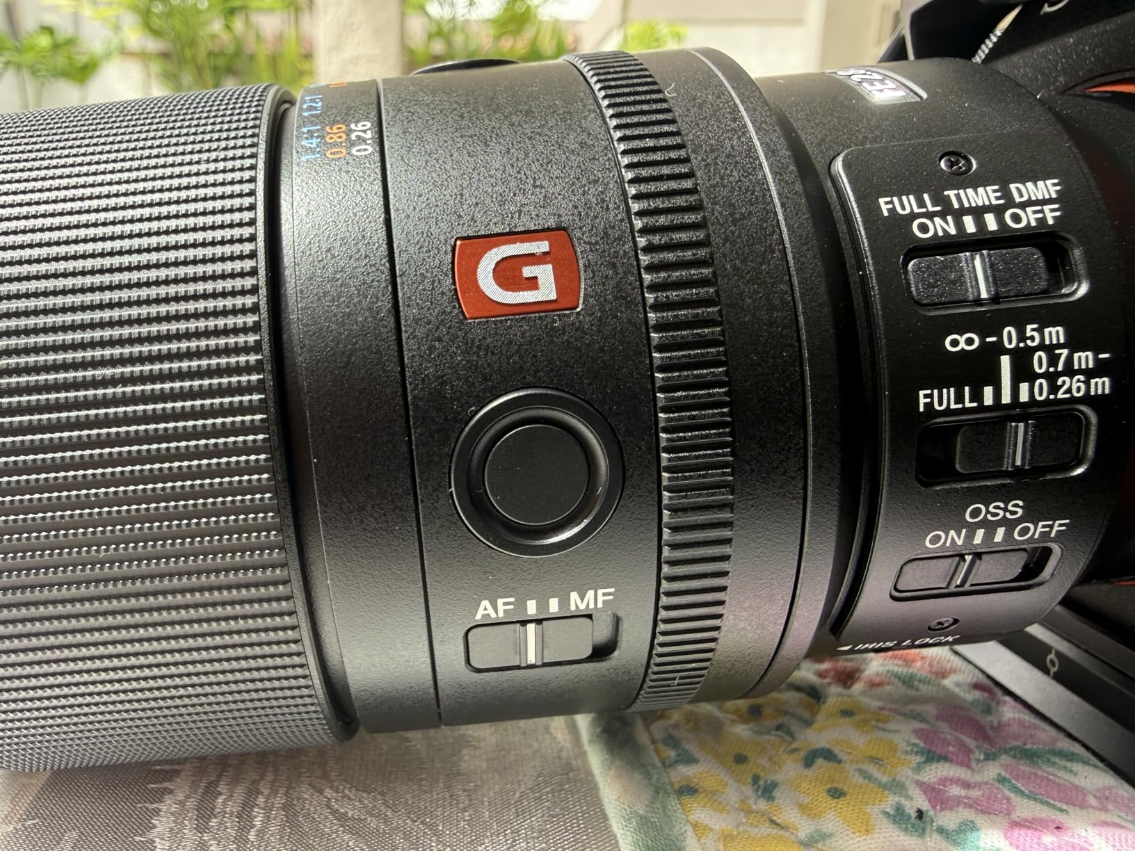 Sony FE 100mm F2.8 GM OSS Macro Lens - 1.4x magnification with f/2.8 aperture and OSS for macro photography, nature videography and professional portraits customer photo 1