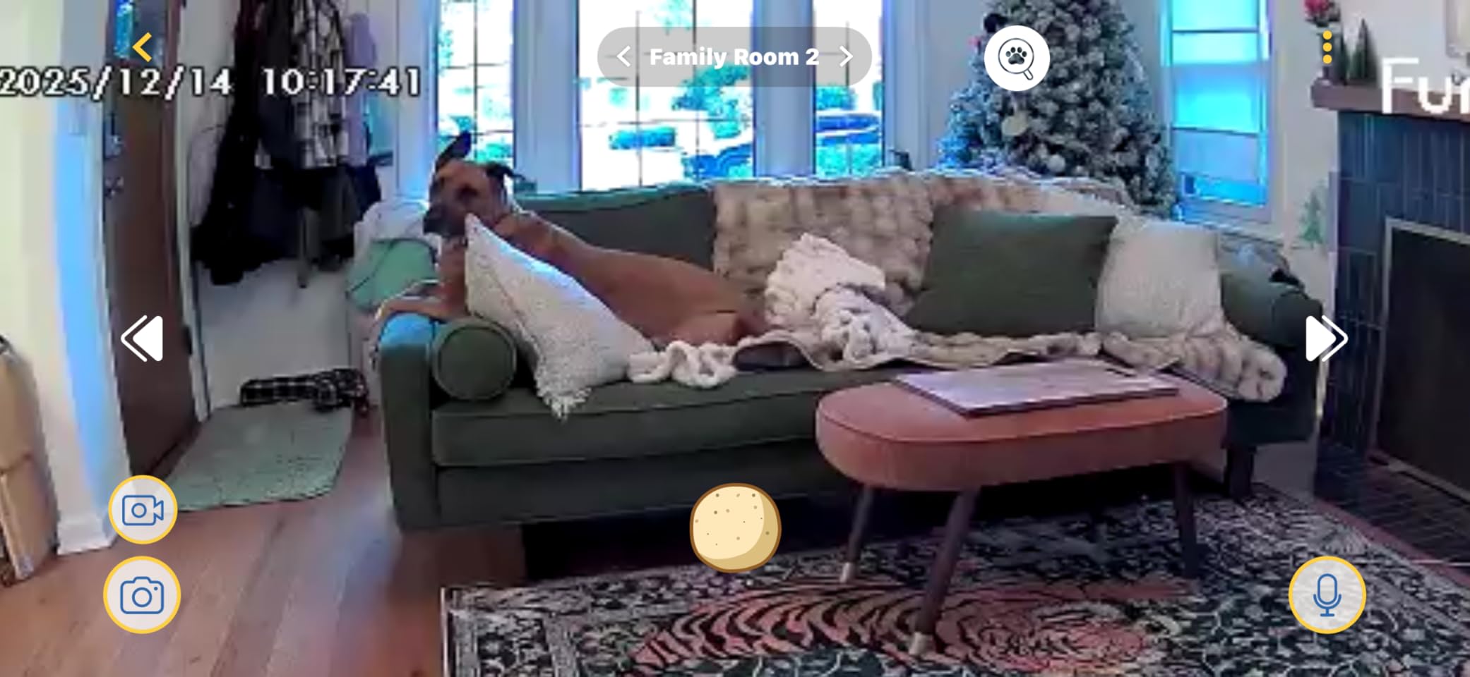 Furbo 360° Dog Camera + Mini 360° Cam [New Subscription Required at Setup] 2-Camera Bundle Nanny Subscription: Dog Safety Alerts, Pet Camera with Speaker, Phone App & Night Vision customer photo 1