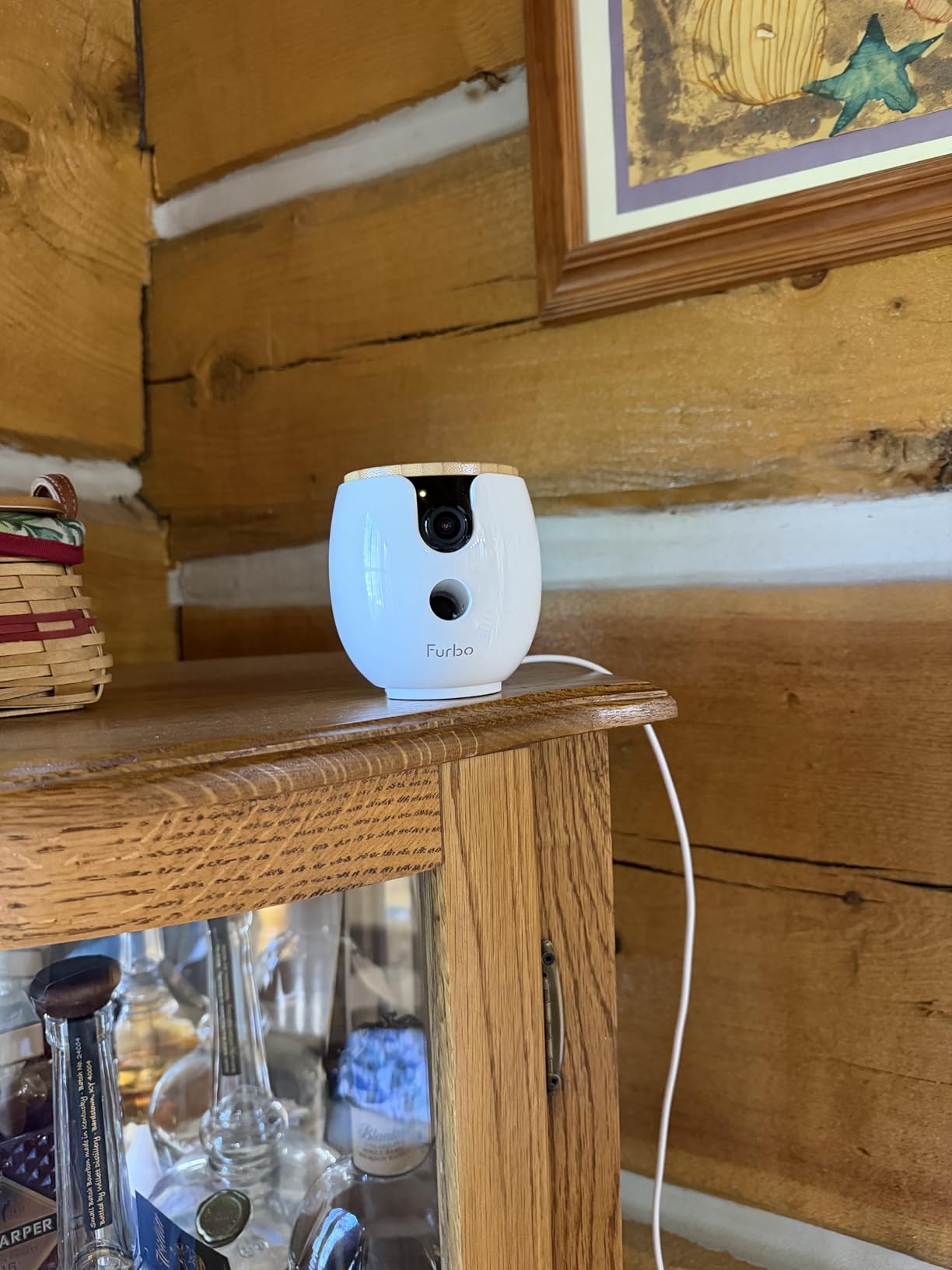 Furbo 360° Dog Camera + Mini 360° Cam [New Subscription Required at Setup] 2-Camera Bundle Nanny Subscription: Dog Safety Alerts, Pet Camera with Speaker, Phone App & Night Vision customer photo 2