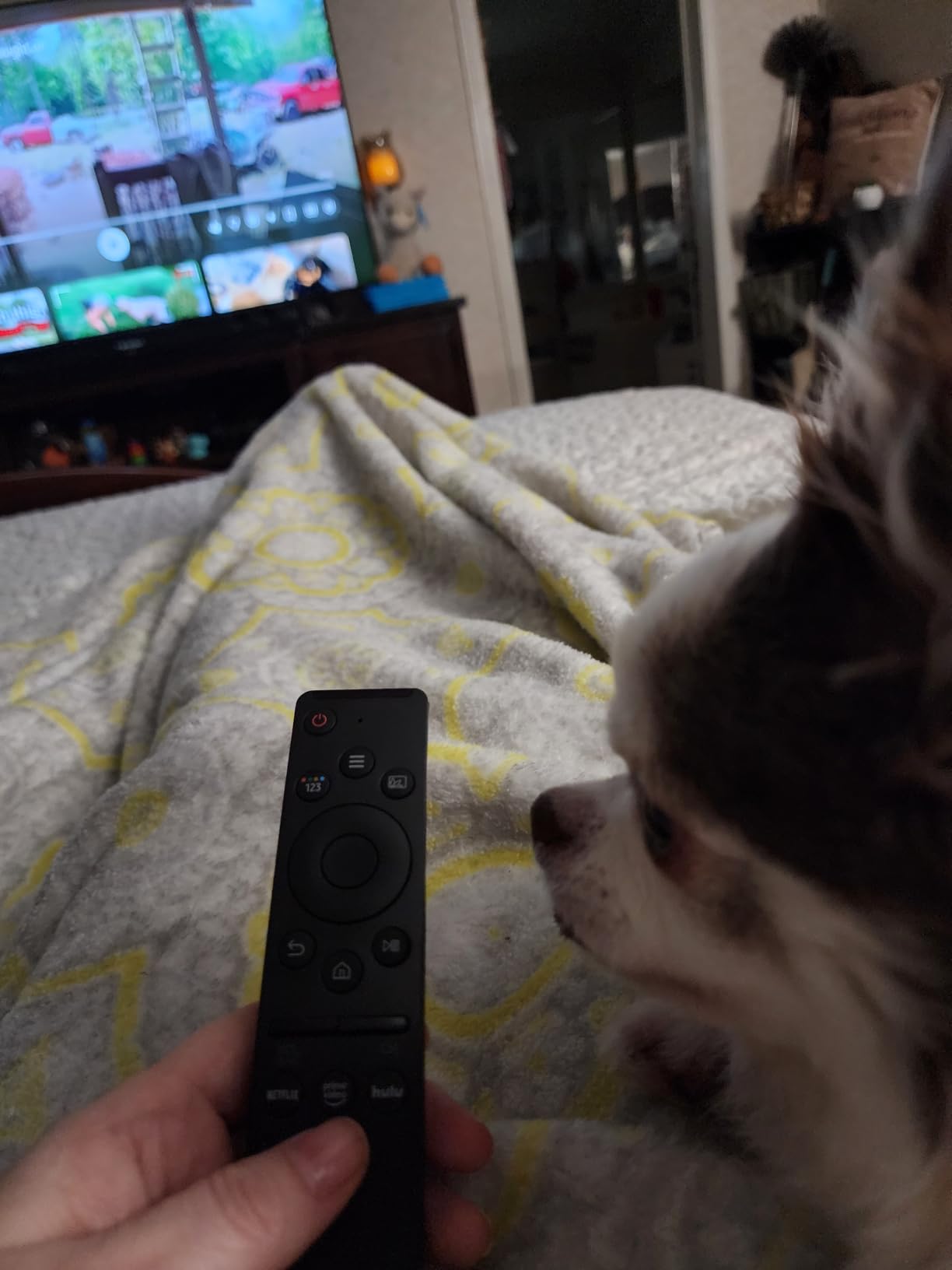 Universal TV Remote Control for Samsung LG Vizio TCL Hisense Sony TVs | Single remote, great value, no setup. Wide TV compatibility. Reliable IR tech. Quick streaming buttons. Long-lasting build. customer photo 2