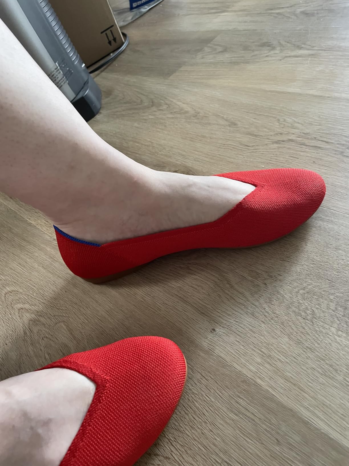 The Daily Flat for Women, Pointed-Toe Ballet Flat customer photo 2