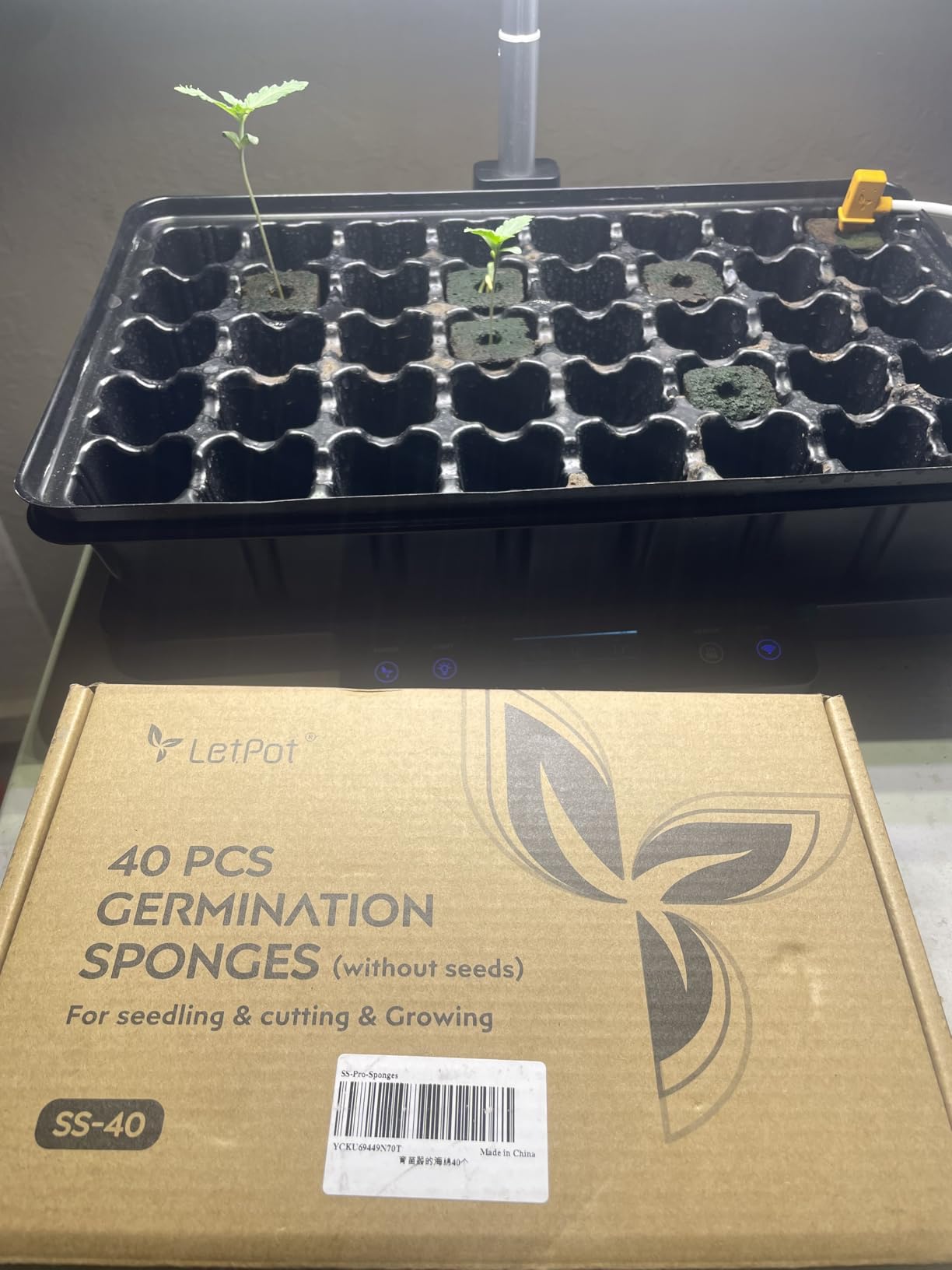 LetPot Smart Seed Starter with Humidity Dome, 24W Full Spectrum LED Grow Light, Smart Heating Base, EC Soil Sensor & App Control customer photo 1