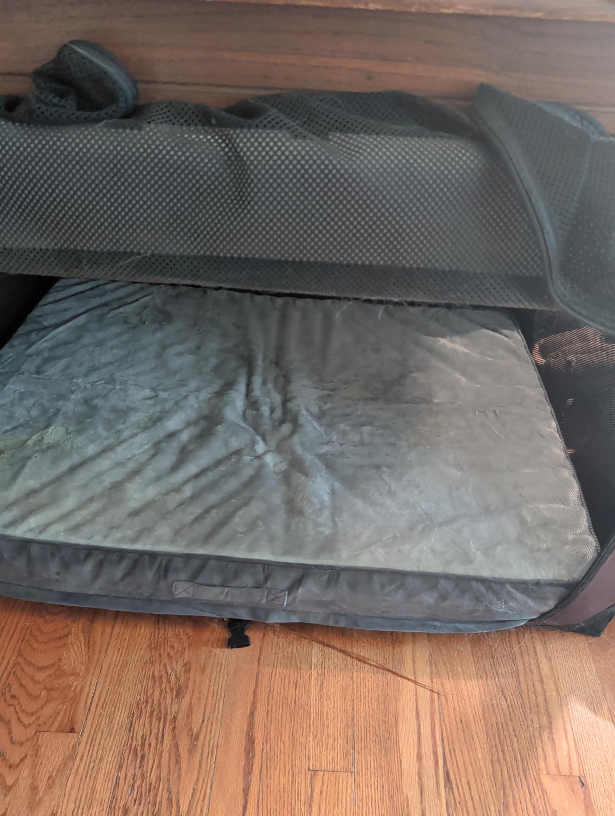OhGeni Orthopedic Waterproof Large Dog Bed, Memory Foam, 44 inch(Gray) | Machine-Washable Removable Cover in Easy-Clean Fabric, Reversible Memory Foam & Easy-Carry Handle, Wider and Larger customer photo 2