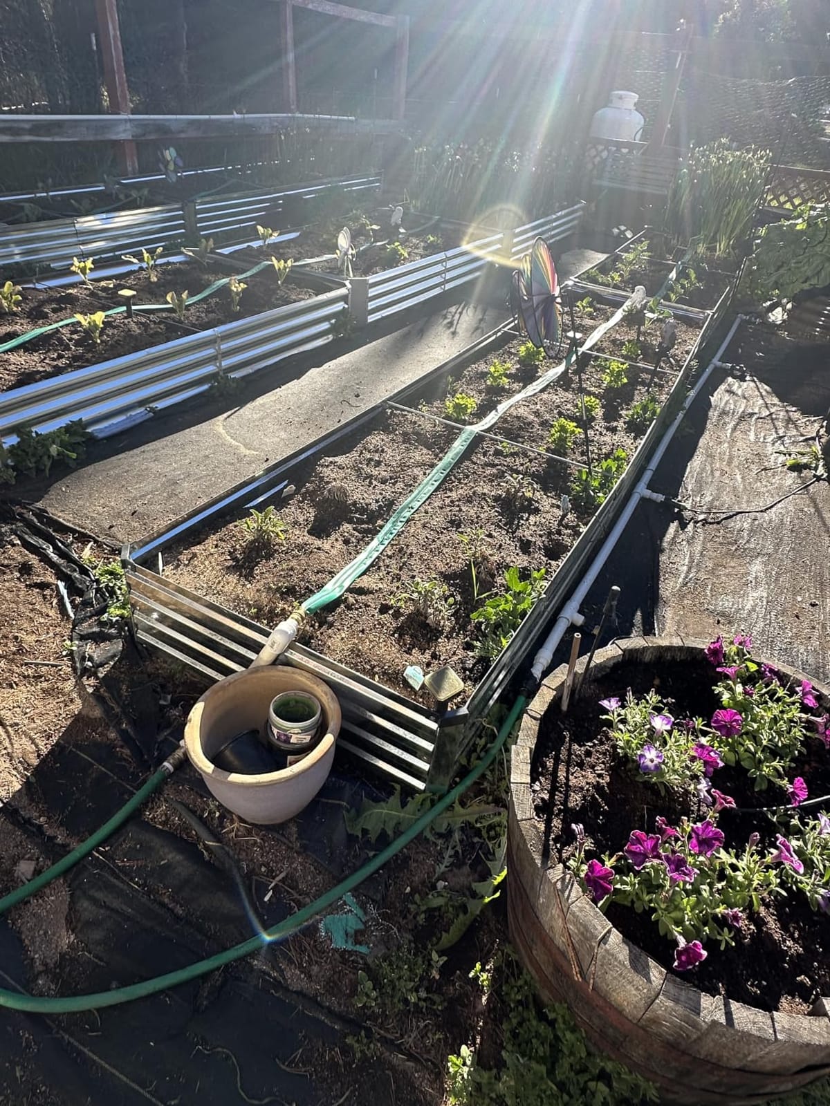 Land Guard 3 Pack 8×4×1ft Galvanized Metal Raised Garden Bed, Metal Planter Kit Box Outdoor for Deep-Rooted Vegetables, Flowers, Green and Herbs, Silver customer photo 2