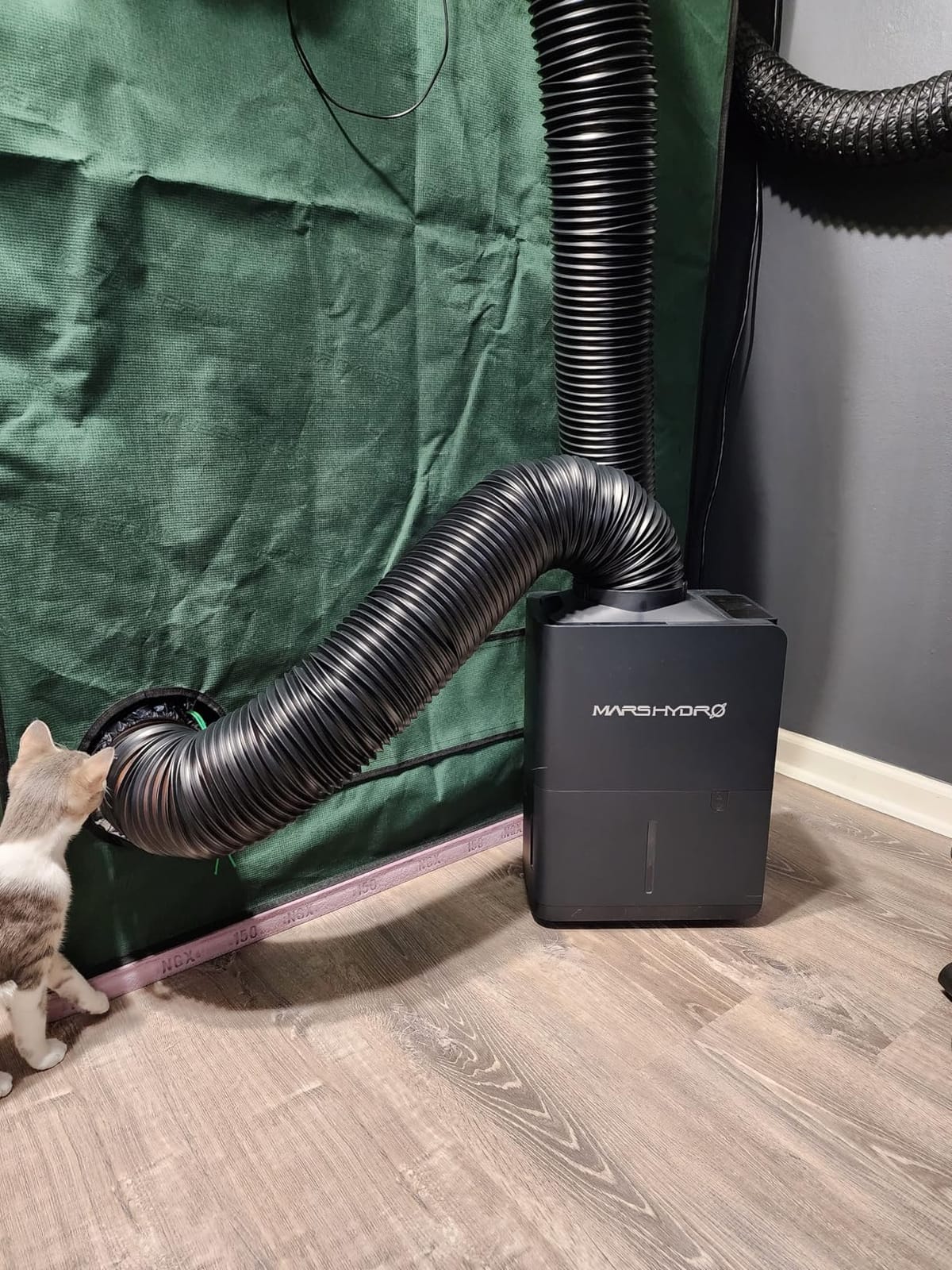 MARS HYDRO 38 Pints Plant Dehumidifier 18L/day for Grow Tent & Home | with Digital Temperature & Humidity Control Display, 2.1L Water Tank, Air Duct, Drain Hose & Washable Filter customer photo 2