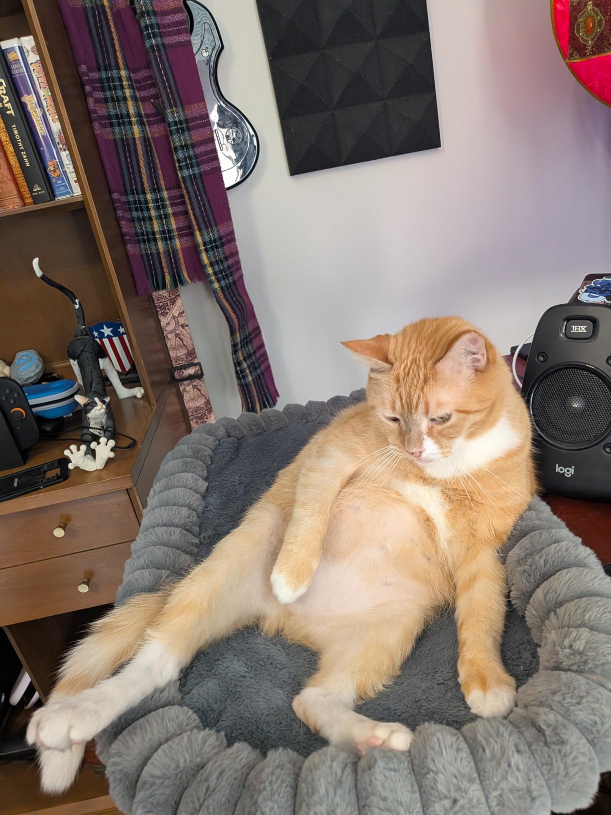 IPOW X-Large Cat Bed Heavy Duty Steel Frame Supports up to 40lbs Cat Desk Bed & Perch Space-Saving 90°Foldable with Soft Ultra-Plush Faux Fur for Small Medium Large Cats customer photo 1