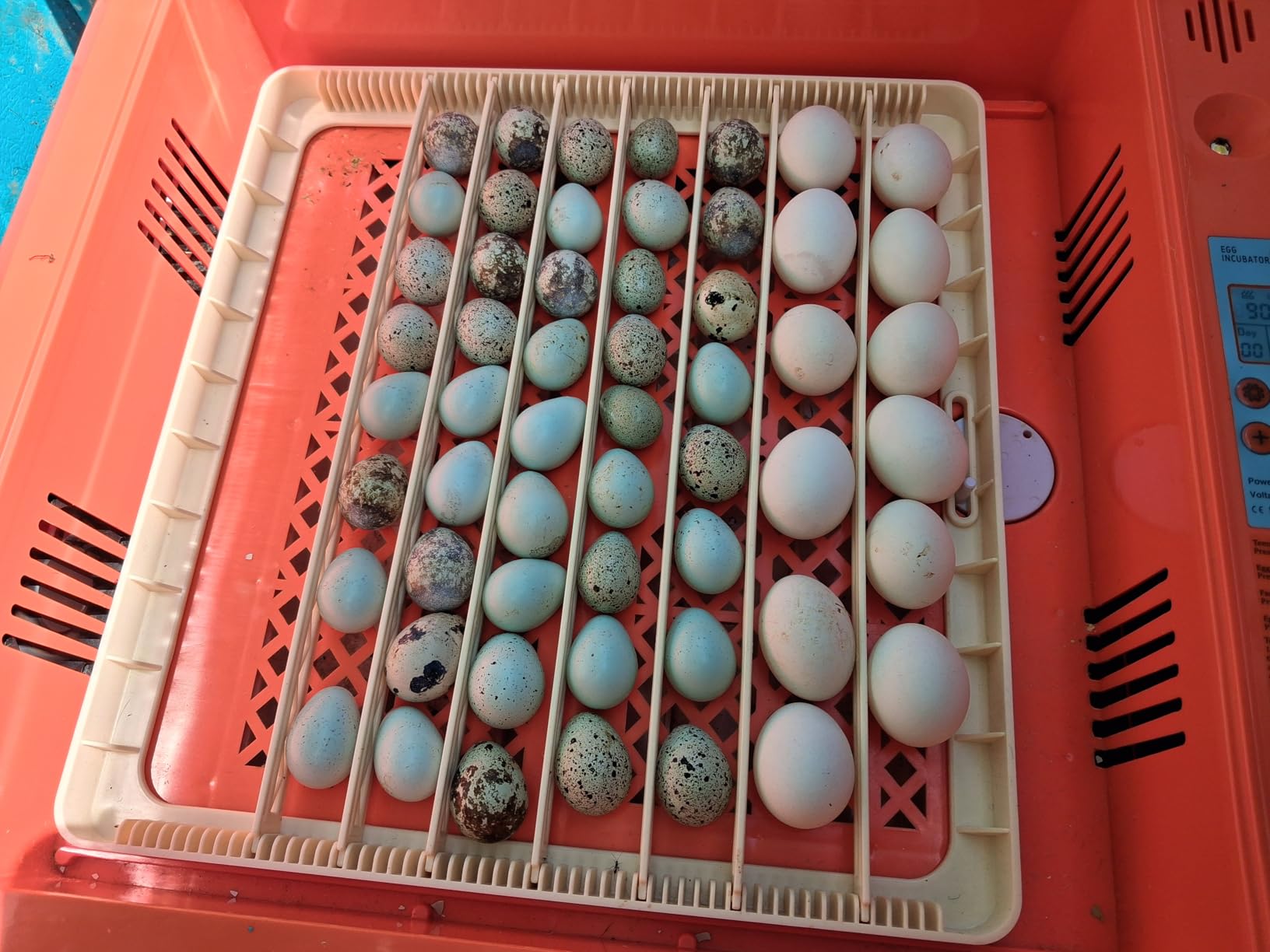 VEVOR 400 Egg Incubator, Poultry Incubator Cabinet with Automatic Eggs Turning, Temperature & Humidity Control, Heating & Cooling Egg Hatcher, Commercial Incubators for Hatching Chicks Ducks Goose customer photo 2