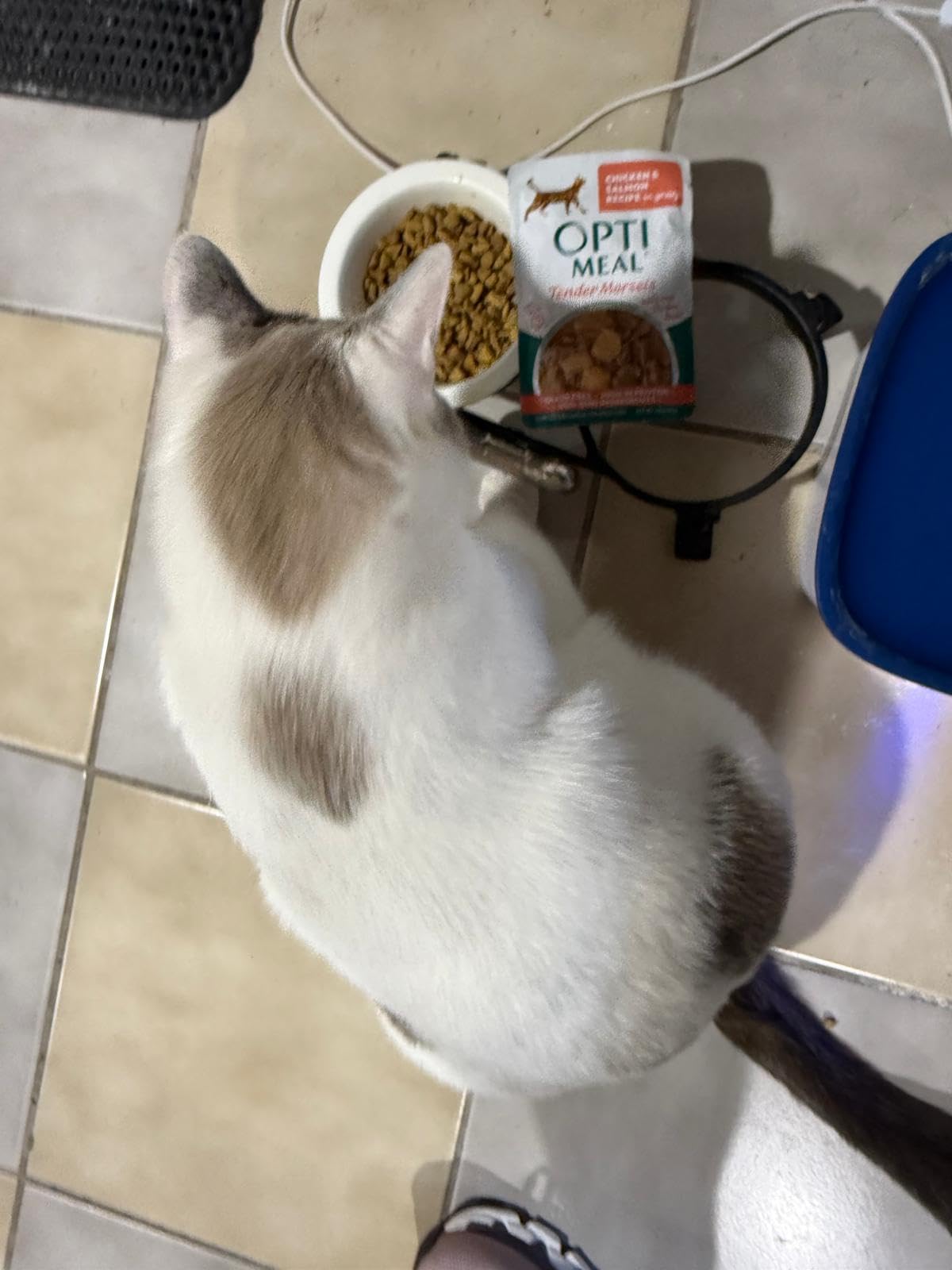 Optimeal Wet Cat Food Variety Pack - Savory Protein Selection, Grain Free Tender Morsels, High Protein Premium Nutrition Made with Natural European Ingredients, Adult Cat Pouches 3oz (Pack of 12) customer photo 2