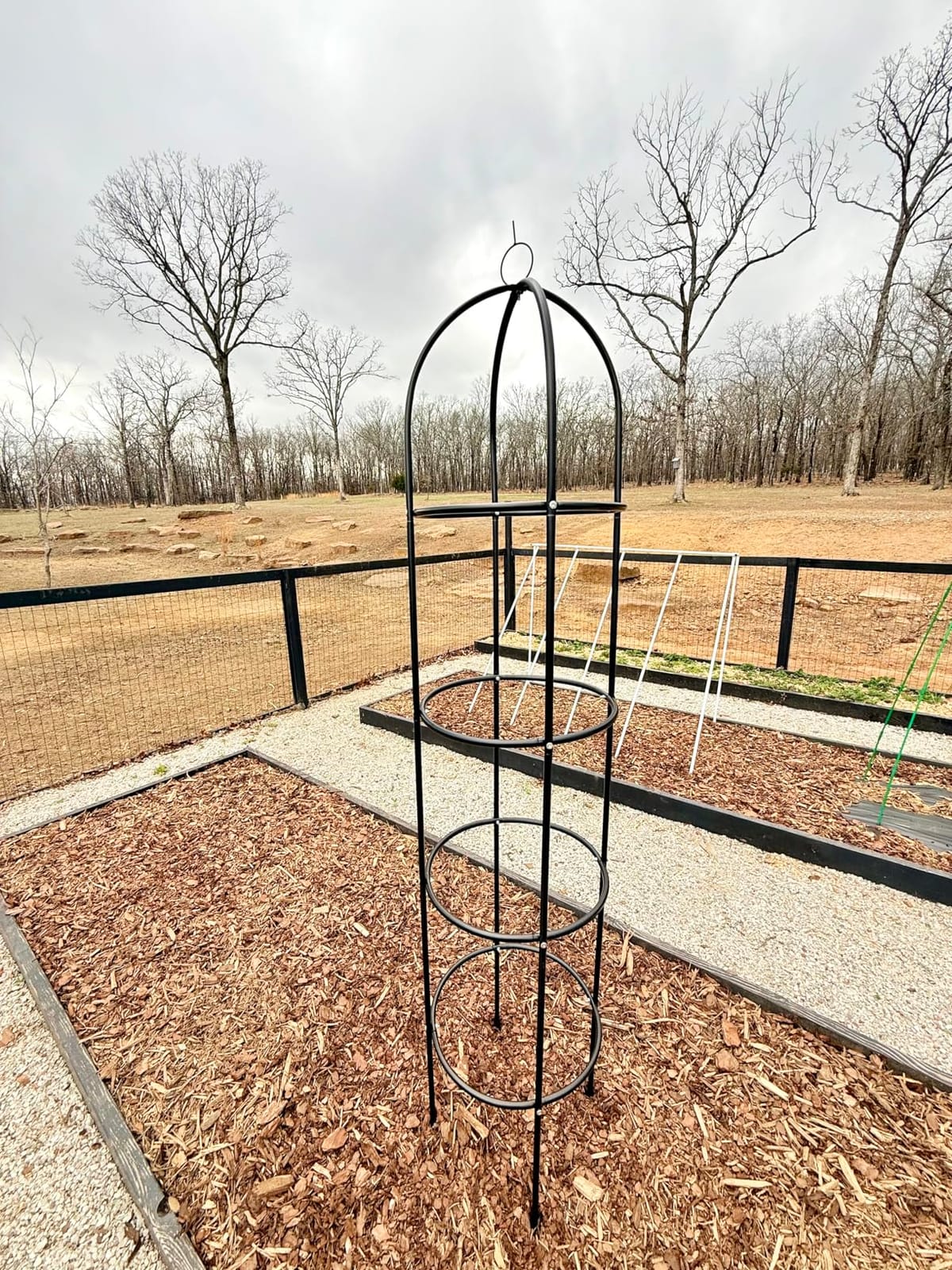 6.6ft 100% Metal Obelisk Trellis for Climbing Plants Outdoor | 2PK Garden Tower Trellis for Potted Plants Indoor with Twist Tie and Butterflies, Plant Support for Clematis Tomato Cucumber customer photo 1