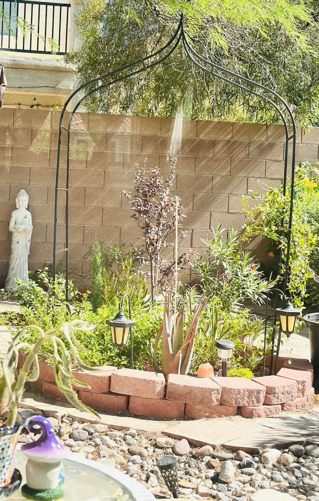 Thick Gothic Pointed Metal Garden Arch Rust-Proof for Climbing Vines Roses | 8.5 ft H x 4.8 ft W, 16mm Steel Tube Arbor for Plants, Clematis, Jasmine, Party Decor for Wedding, Halloween, Christmas customer photo 1