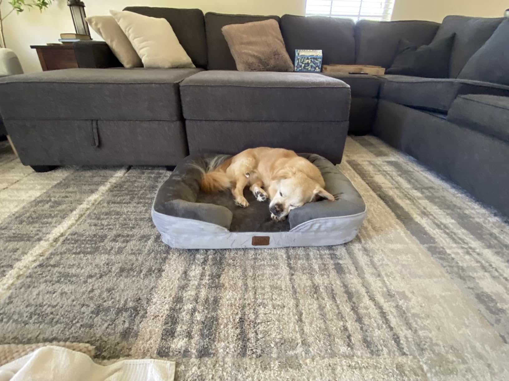 Bedsure Orthopedic XL Pro Dog Bed Extra Large with Removable Washable Cover | 45