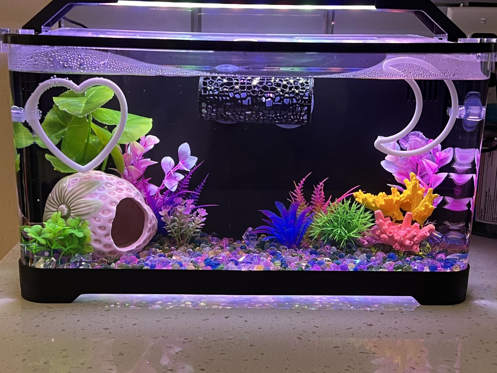 3.5 Gallon Betta Fish Tank, All in One Aquarium Starter Kits with Back Filter, Adjustable Pump, 25W Heater, LED Thermometer, LED Light with Timer & Water Changer Kit, Gifts for Mom Wife customer photo 1