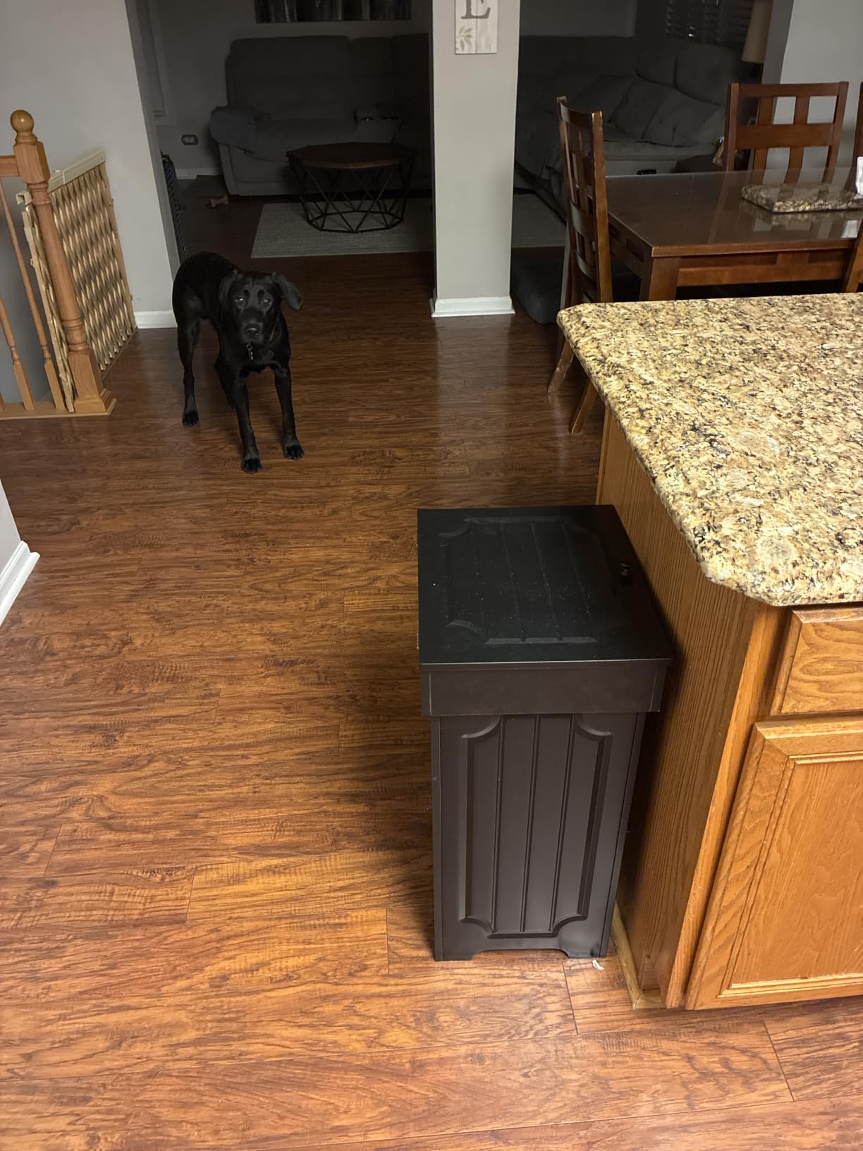 Povrgive Dog Proof Kitchen Trash Can, 13 Gallon Garbage Can with Lid | Heavy 50L Wooden Cabinet Keeps Dogs Out, Farmhouse Hidden Design, 10 Bags Included, Indoor Use Only, White customer photo 2