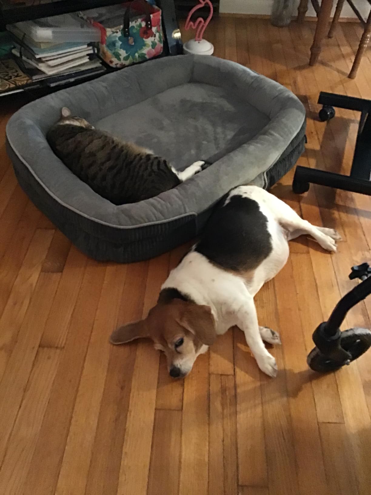 Bedsure 360°Oval Bolster Orthopedic Dog Beds Large Sized Dog,35