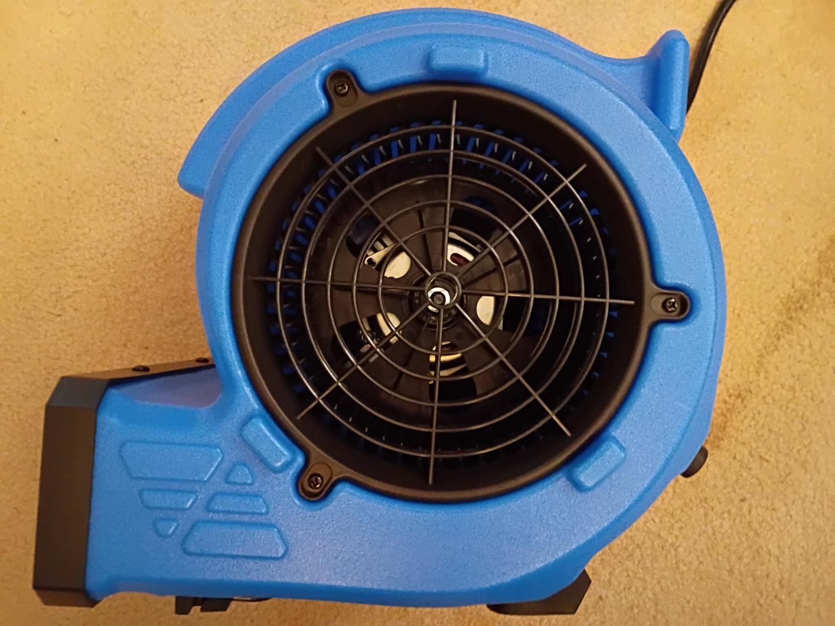 BEYOND BREEZE 1/4 HP 1000 CFM Air Mover Blower Fan with 3 Speeds, Blue | Heavy-Duty Floor Carpet Dryer with 4 Adjustable Angles, Built-in Dual AC Outlets, 10 Ft Cord, Great for Home and Commercial customer photo 2