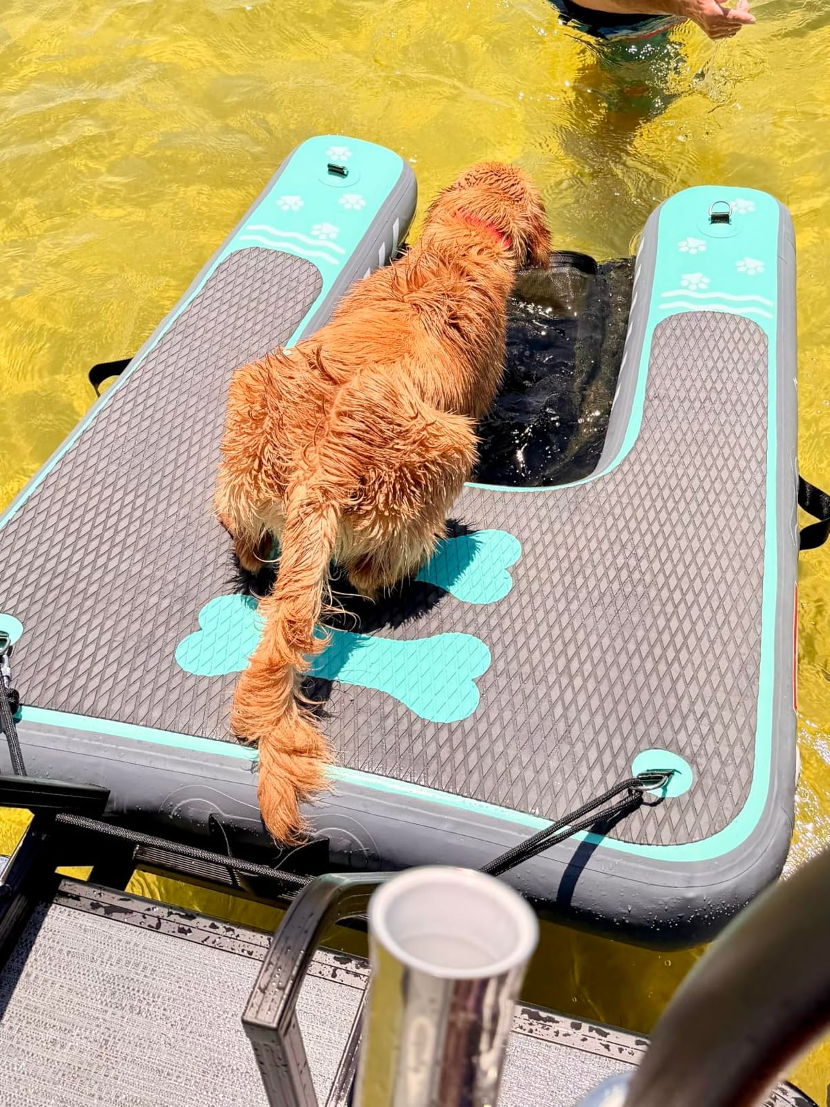 8x6ft Extra Large Inflatable Dog Dock & Boat Ramp for Multiple Large Dogs | 800 LBS Load Capacity, with Anti-Slip EVA Foam & Built-in Ice Bucket Compartment, Dog Water Ramp for Pool Boat Beach Blue customer photo 1