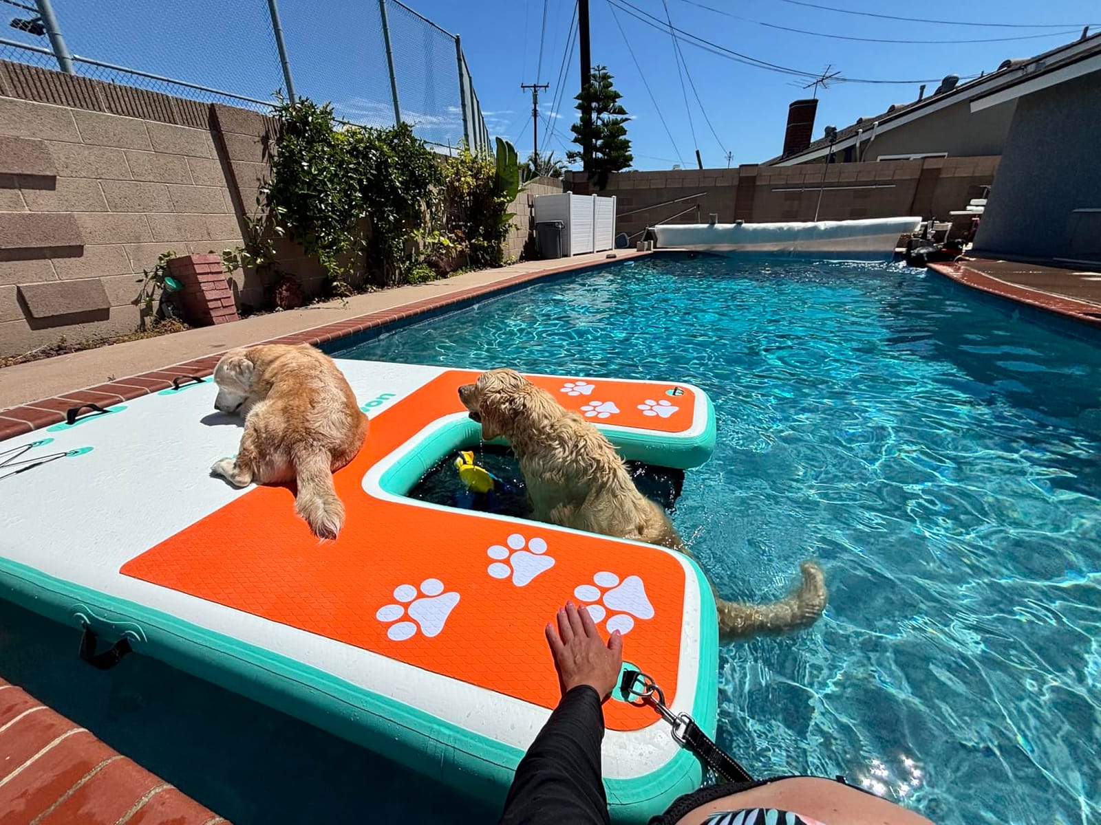 8x6ft Extra Large Inflatable Dog Dock & Boat Ramp for Multiple Large Dogs | 800 LBS Load Capacity, with Anti-Slip EVA Foam & Built-in Ice Bucket Compartment, Dog Water Ramp for Pool Boat Beach Blue customer photo 2