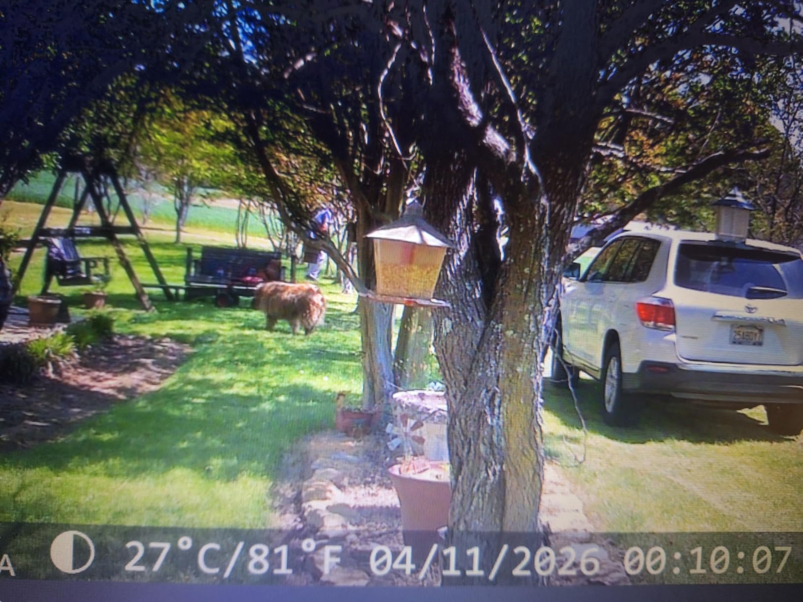 4K 64MP Solar Trail Camera WiFi, 32GB SD Card, Night Vision Motion Activated customer photo 2