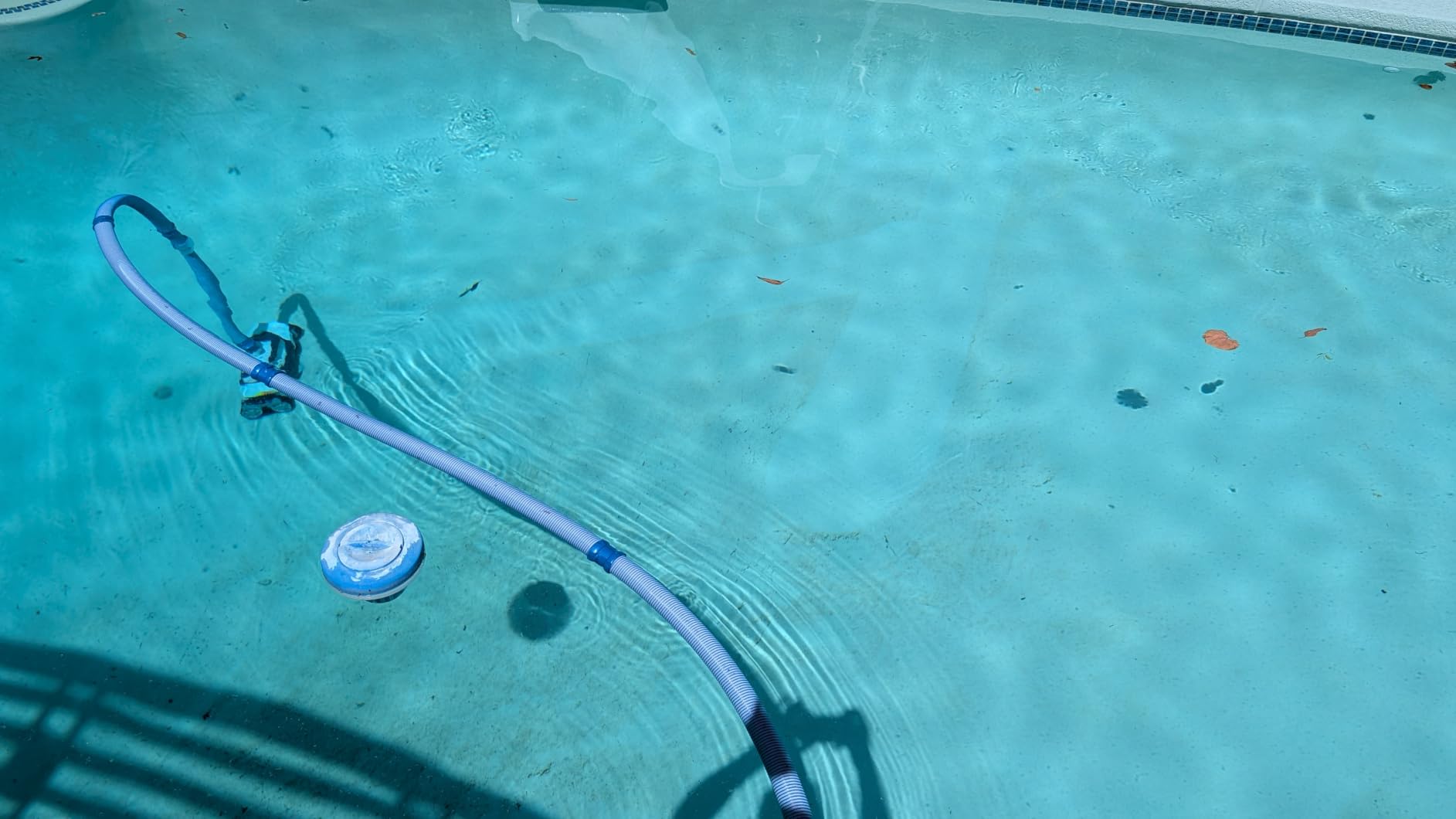 Polaris Lynx Automatic Suction Pool Cleaner, Scrubbing Brushes | Wall-Climbing with Active Scrubbing Brushes and HALO Technology, 39 Feet of Twist-Lock Hose Included customer photo 2