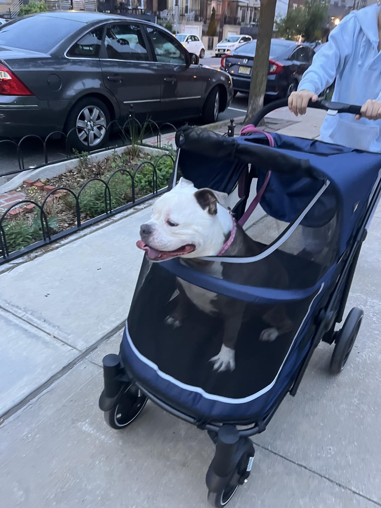 CANINE CANYON All-Terrain Pet Stroller for Large & Medium Dogs | Easy fold, 130 lbs capacity for 2 dogs. Dual entry, 1-foot brake, sunroof & breathable windows for outdoor adventures, Blue customer photo 1