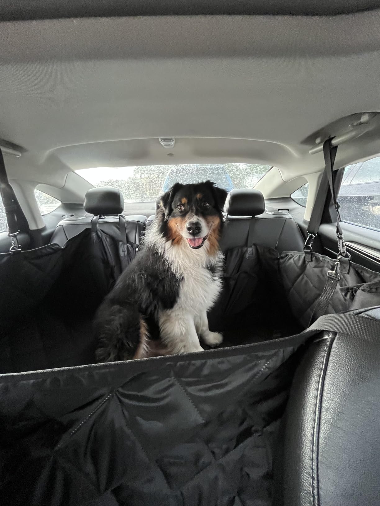Hard Bottom Dog Car Seat Cover for Back Seat, PU Leather Extender | Anti Scratch Backseat Dog Hammock for Cars, SUVs, Sedan, Waterproof, Pet Travel Bed, Easy to Clean, Non-Slip, Holds 420lbs customer photo 1