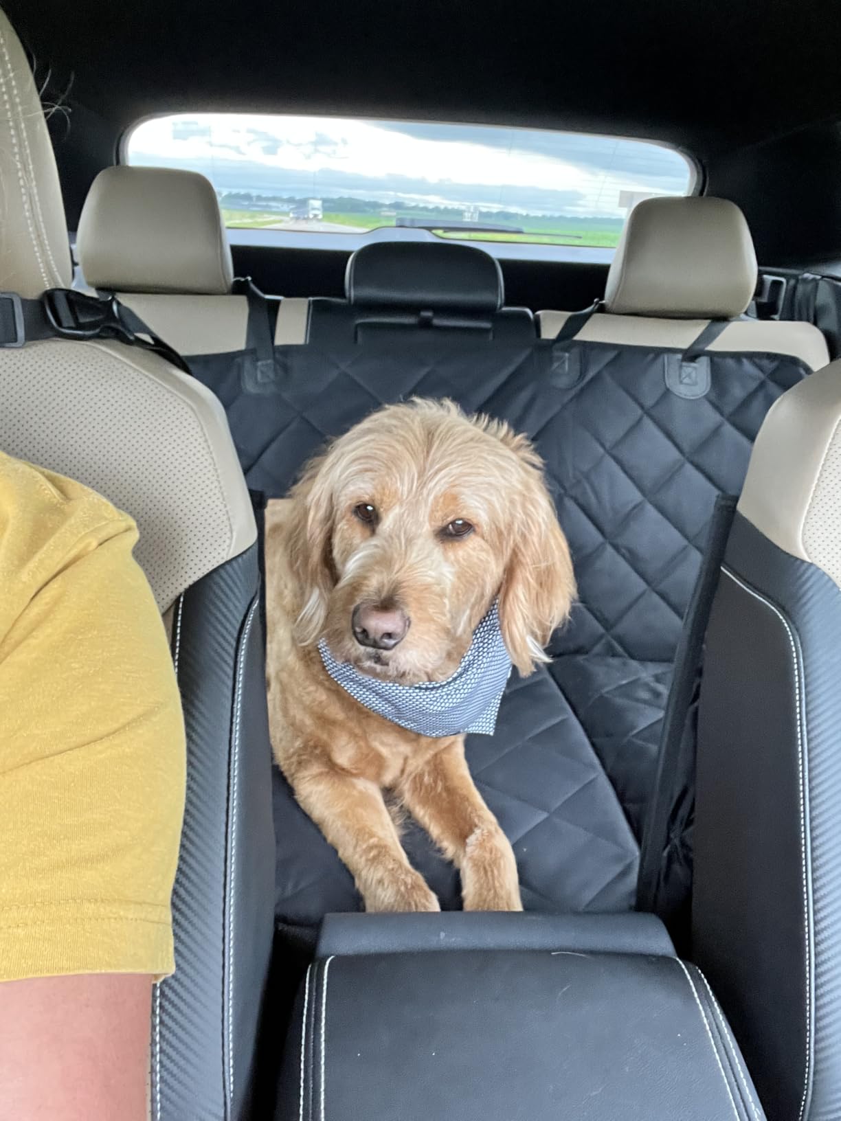 Hard Bottom Dog Car Seat Cover for Back Seat, PU Leather Extender | Anti Scratch Backseat Dog Hammock for Cars, SUVs, Sedan, Waterproof, Pet Travel Bed, Easy to Clean, Non-Slip, Holds 420lbs customer photo 2