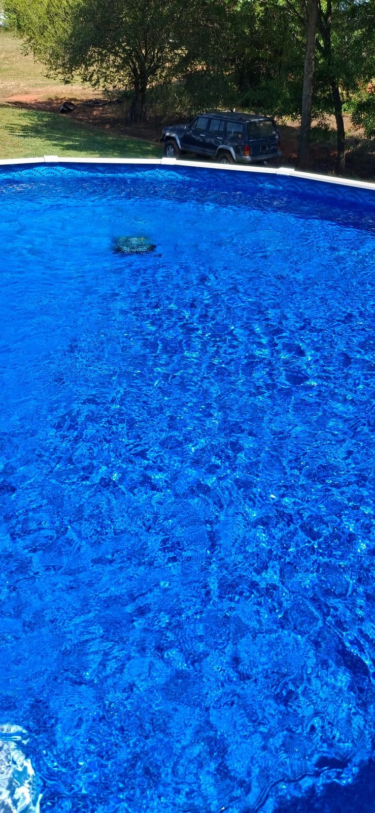 Wybot C2 Cordless Pool Vacuum for Inground Pools, Pool Cleaner Robot | 10+180μm Dual Filter, Once Cleaning 2152 Sq.ft, App Control, Cleans Pool Walls, Auto Parking on Low Battery, BlackGreen customer photo 2