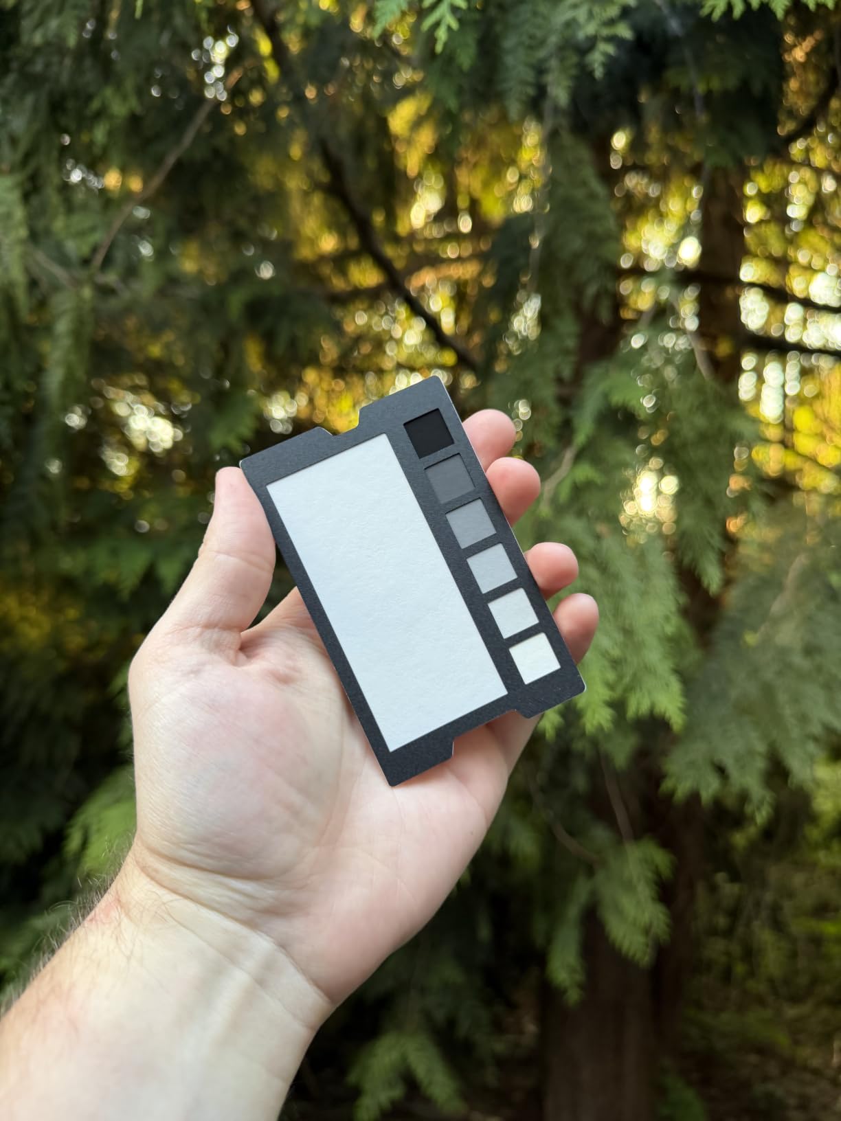 SpyderCheckr White Balance Card for Photography & Video | Spectrally neutral white target plus 6-step grayscale strip customer photo 1