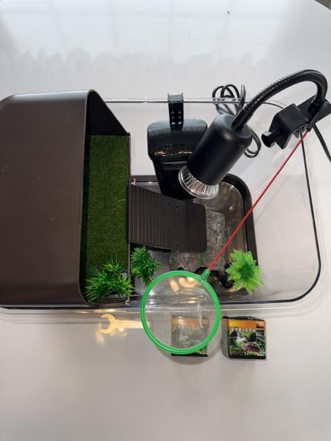 Turtle Tank Starter Kit, Durable PC Turtle Aquarium Kit with Basking Platform & Dimmable Heat Lamp, Baby Aquatic Turtle Tank with Filter, Complete Turtle Habitat Kit for Beginners customer photo 2