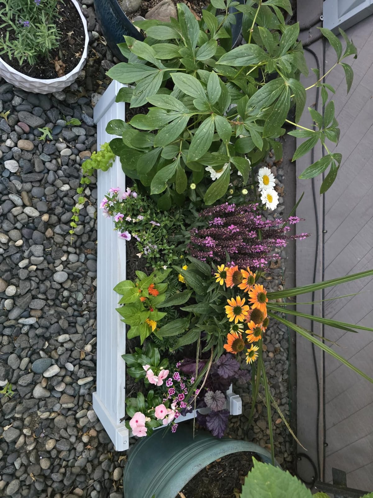 PatioZen Raised Garden Bed, Self-Watering Resin Planter Box, Planter Boxes Outdoor with Drain Plug for Vegetables, Flowers, Plants(Grey) customer photo 1