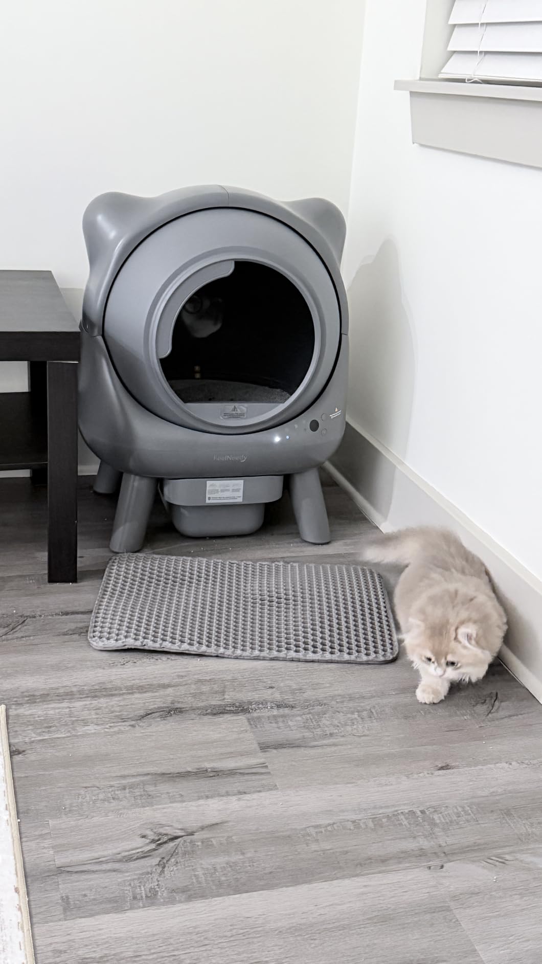 Automatic Litter Box, FEELNEEDY Self Cleaning Litter Box, Odor Control Robot, Cat Ears Design, 65L APP Real-Time Monitor, Cat Litter-Boxs for Multiple Cats, Safety Sensors, with 1 Trash Bag customer photo 2