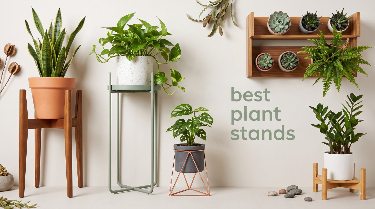 best plant stands