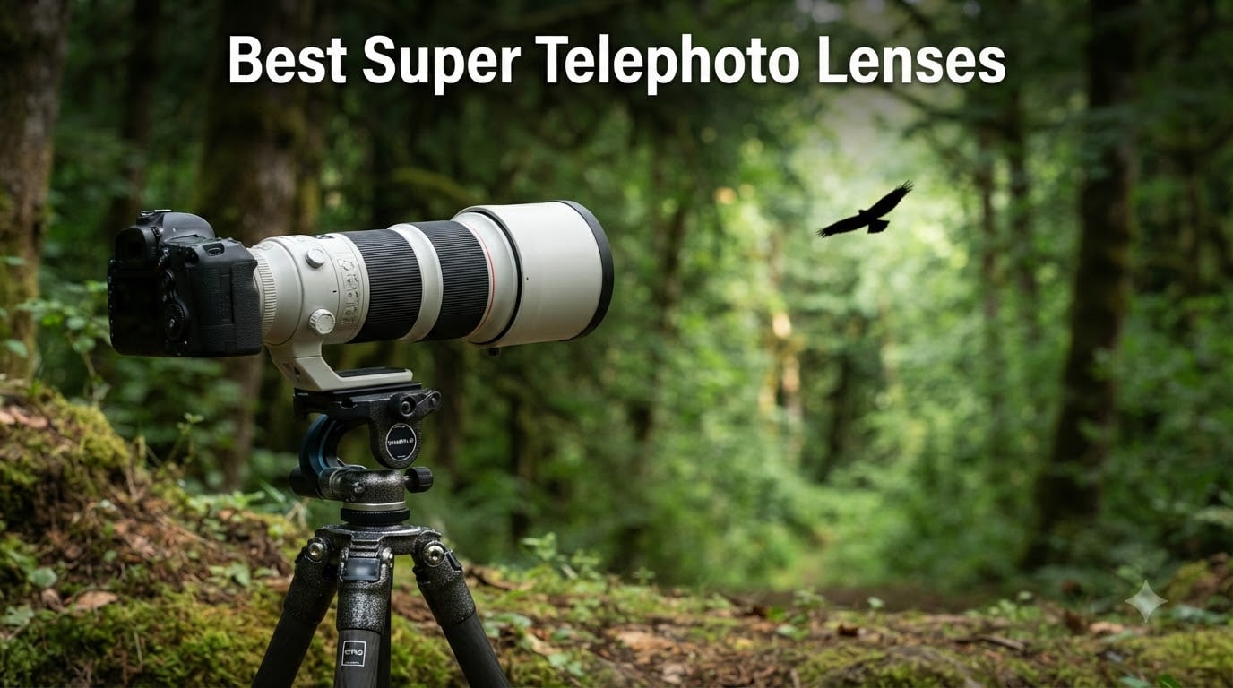 Best Super Telephoto Lenses